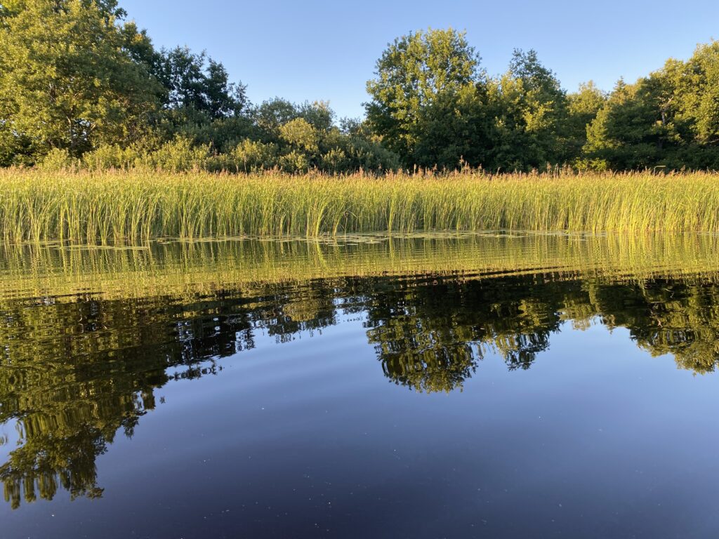 Sjön Orrhammarren i Flen.